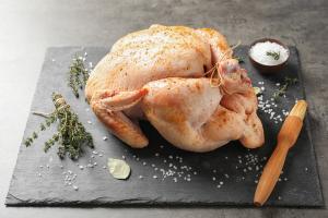 Post Image for Difference Between Turkey and Chicken