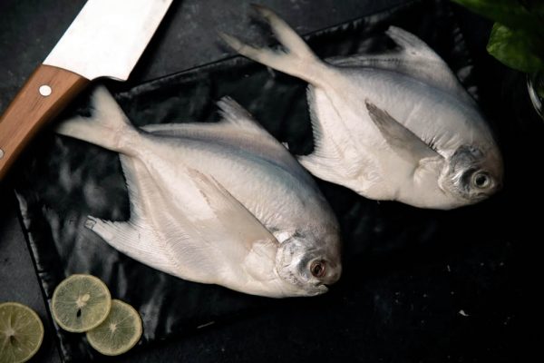 Pomfret (Frozen)